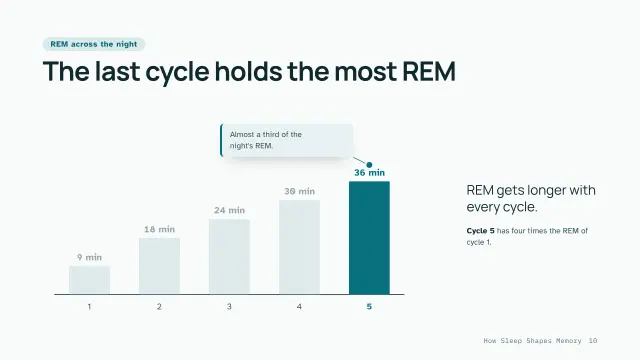 Clinic theme: Chart story — REM across the night