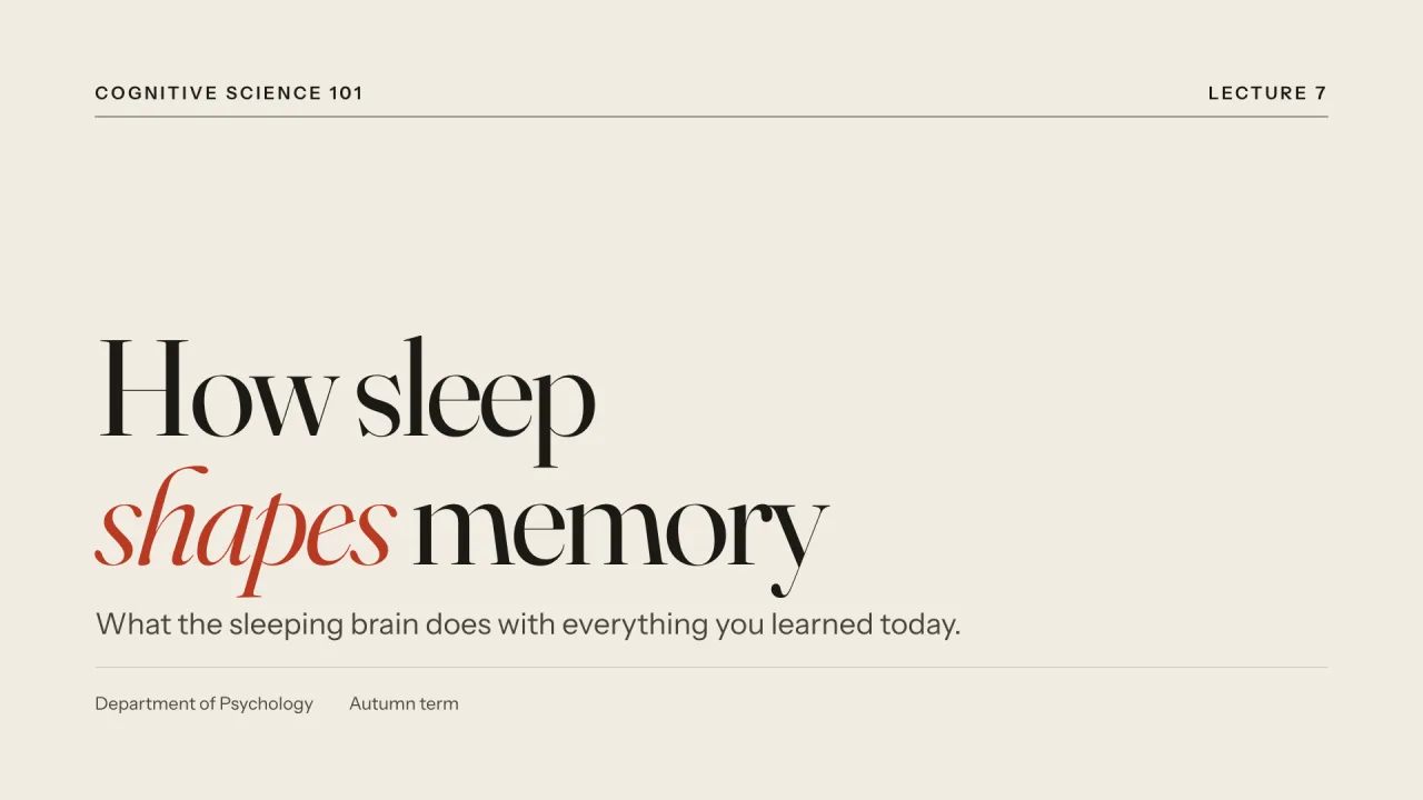 Folio theme title slide: How sleep shapes memory
