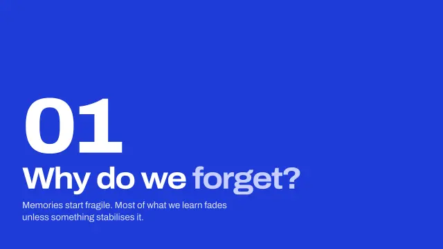 Grid theme: Section — why do we forget?
