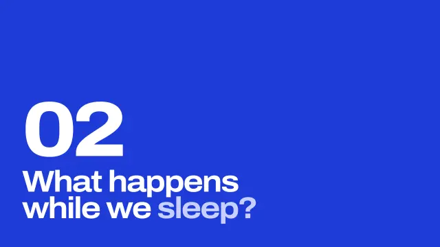 Grid theme: Section — what happens while we sleep?