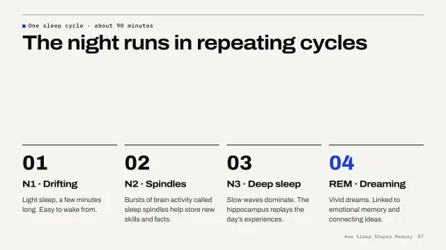 Grid theme: Steps — the four sleep stages
