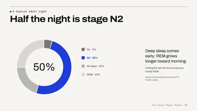 Grid theme: Chart — half the night is stage N2