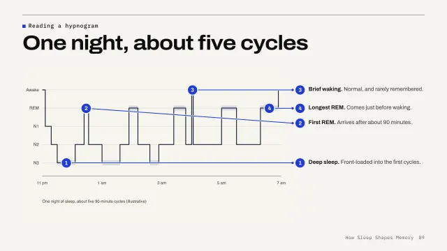 Grid theme: Annotated — reading a hypnogram