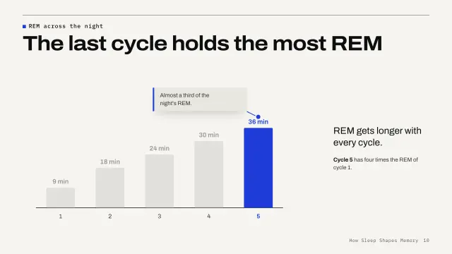 Grid theme: Chart story — REM across the night