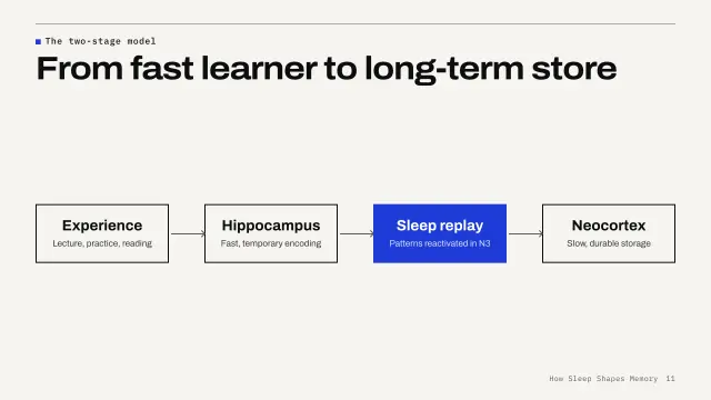 Grid theme: Diagram — the two-stage model