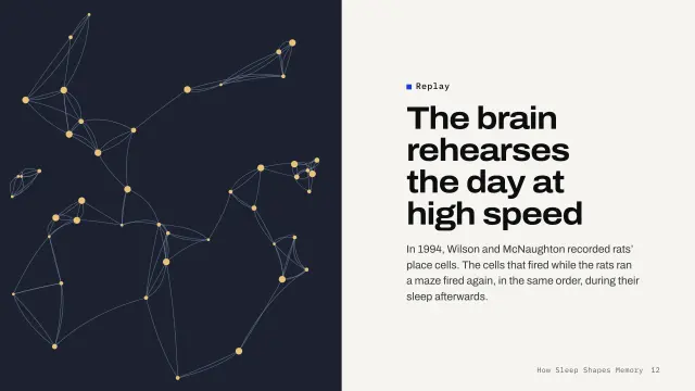 Grid theme: Split — the brain rehearses the day