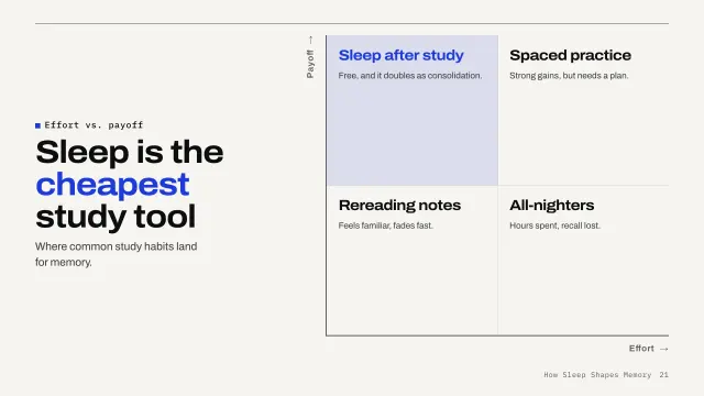 Grid theme: Matrix — sleep is the cheapest study tool