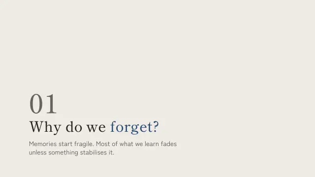Ma theme: Section — why do we forget?
