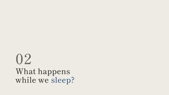 Ma theme: Section — what happens while we sleep?