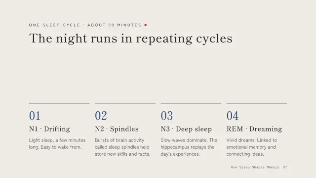 Ma theme: Steps — the four sleep stages