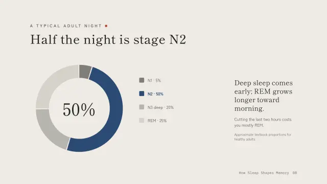 Ma theme: Chart — half the night is stage N2