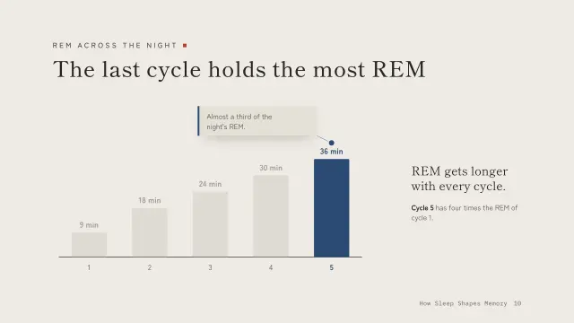 Ma theme: Chart story — REM across the night