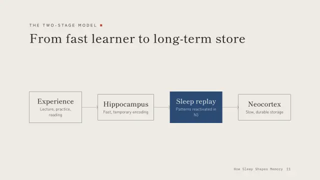 Ma theme: Diagram — the two-stage model