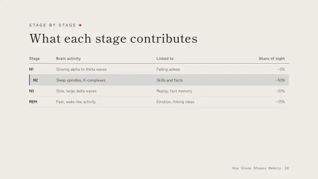 Ma theme: Table — what each stage contributes