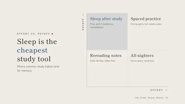 Ma theme: Matrix — sleep is the cheapest study tool