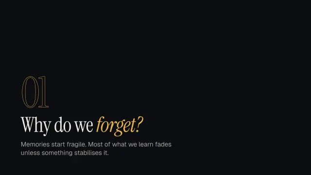 Nocturne theme: Section — why do we forget?