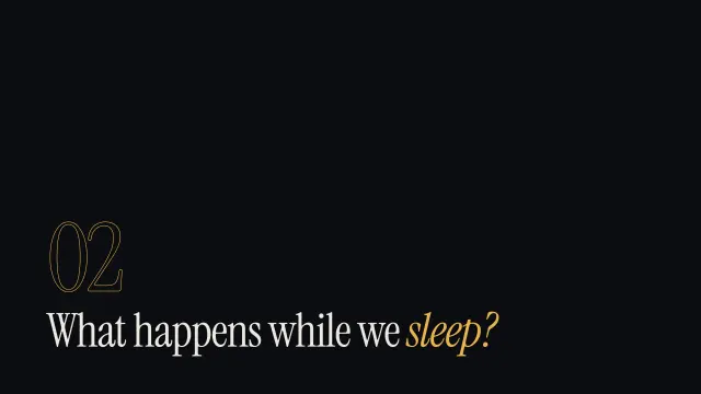 Nocturne theme: Section — what happens while we sleep?