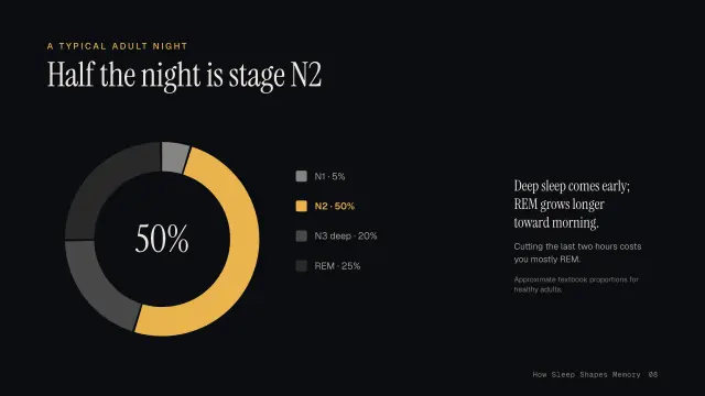 Nocturne theme: Chart — half the night is stage N2