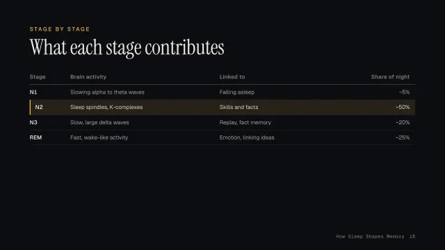 Nocturne theme: Table — what each stage contributes