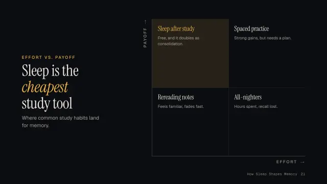 Nocturne theme: Matrix — sleep is the cheapest study tool