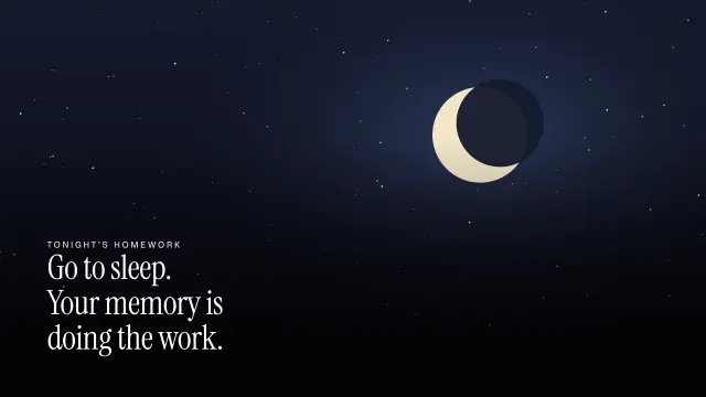 Nocturne theme: Full bleed — tonight's homework