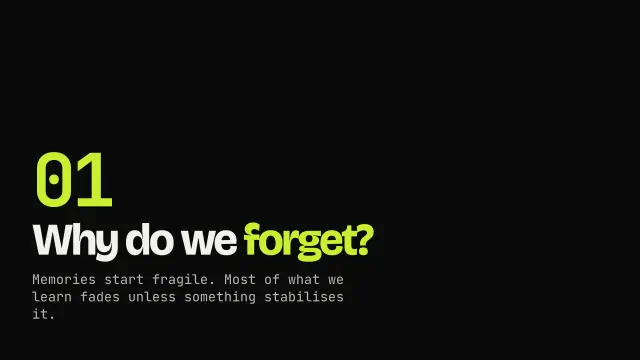 Volt theme: Section — why do we forget?