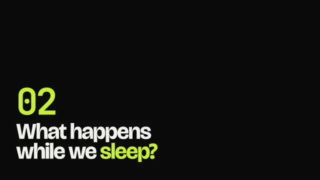 Volt theme: Section — what happens while we sleep?
