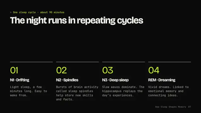 Volt theme: Steps — the four sleep stages