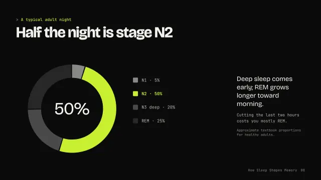 Volt theme: Chart — half the night is stage N2