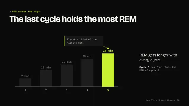 Volt theme: Chart story — REM across the night