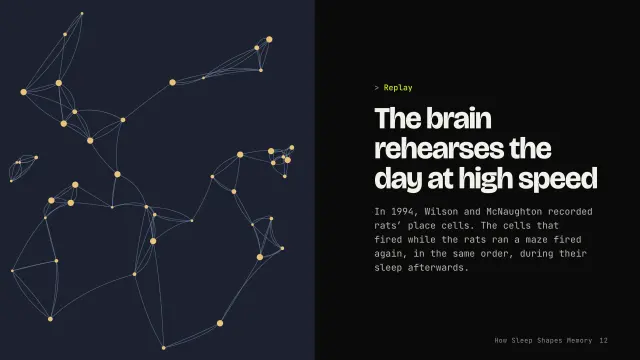 Volt theme: Split — the brain rehearses the day