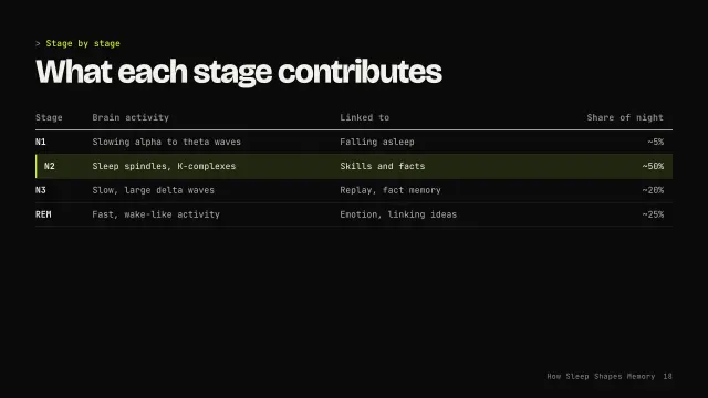 Volt theme: Table — what each stage contributes
