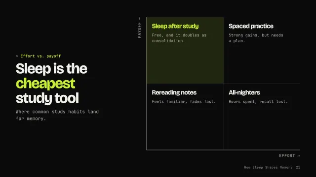 Volt theme: Matrix — sleep is the cheapest study tool